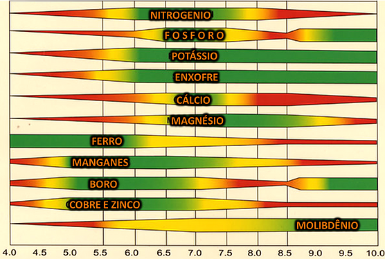 Tabela de ponto ótimo de absorção de nutrientes conforme o pH. 
